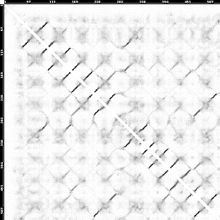 Contact Map Fig. S10